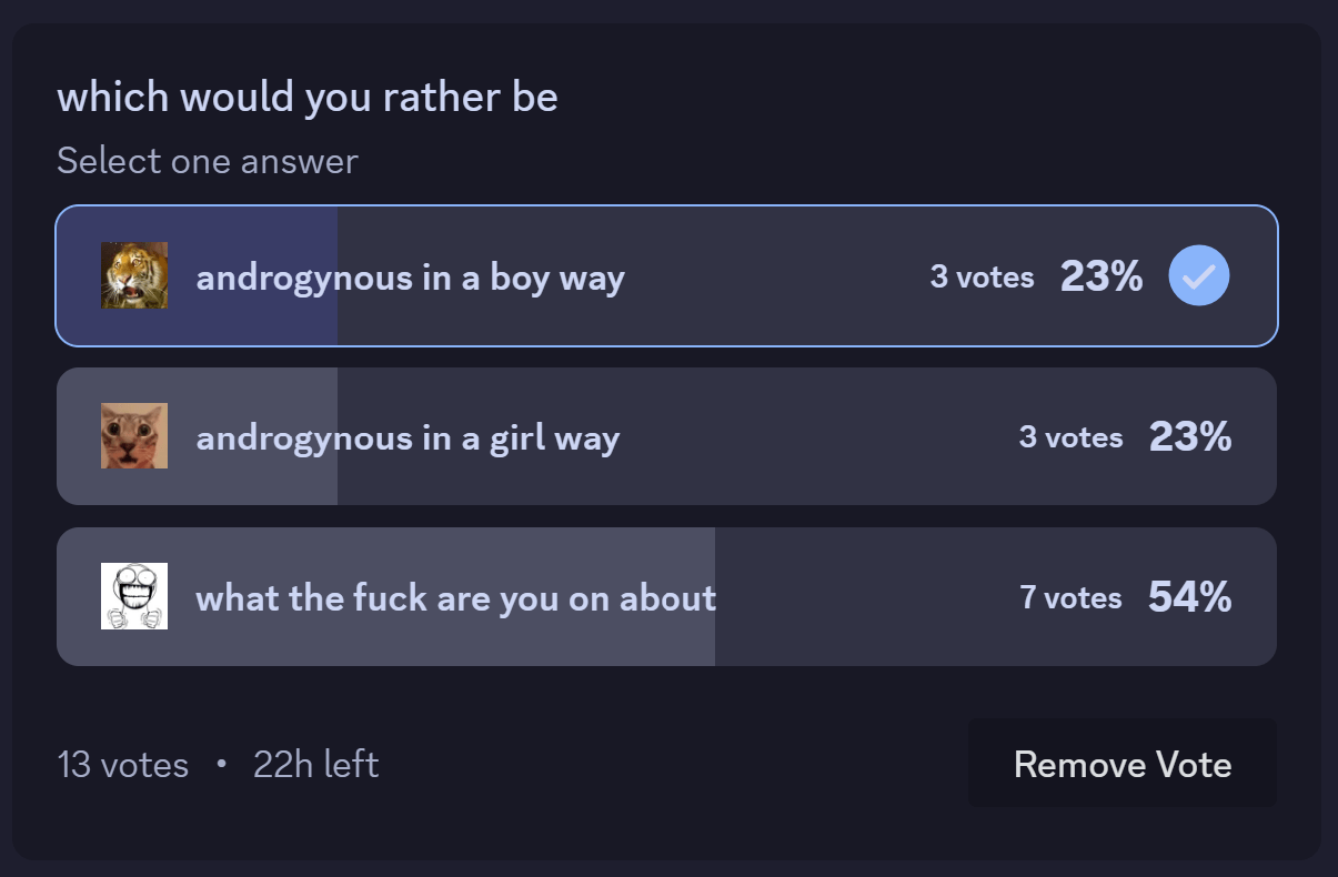 discord poll screenshot