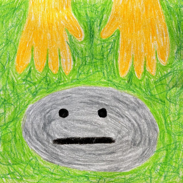 dear pet rock - tv room