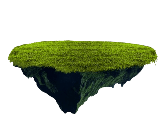 a small floating island